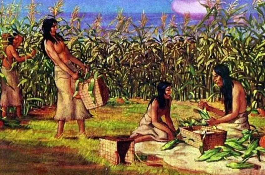  El mito de los Huaris