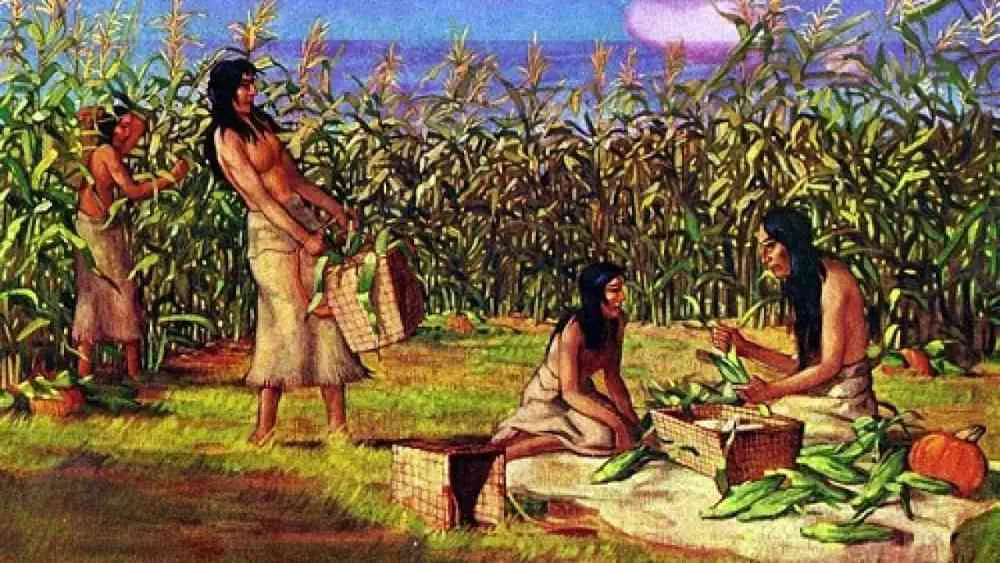 El mito de los Huaris