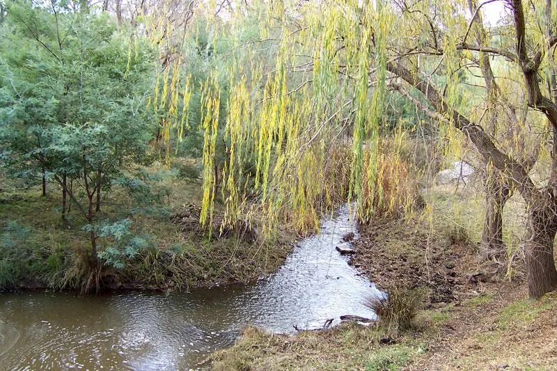 Ichik-Olljo